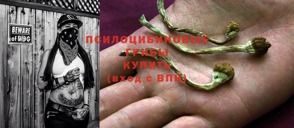 трава Абинск