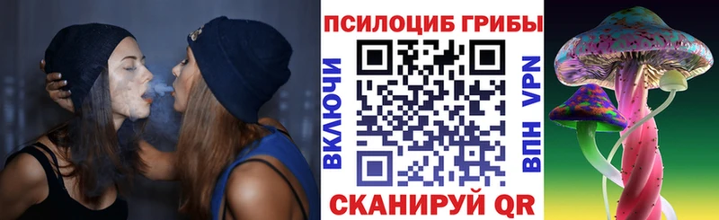 Галлюциногенные грибы GOLDEN TEACHER  blacksprut сайт  Чекалин  даркнет сайт 